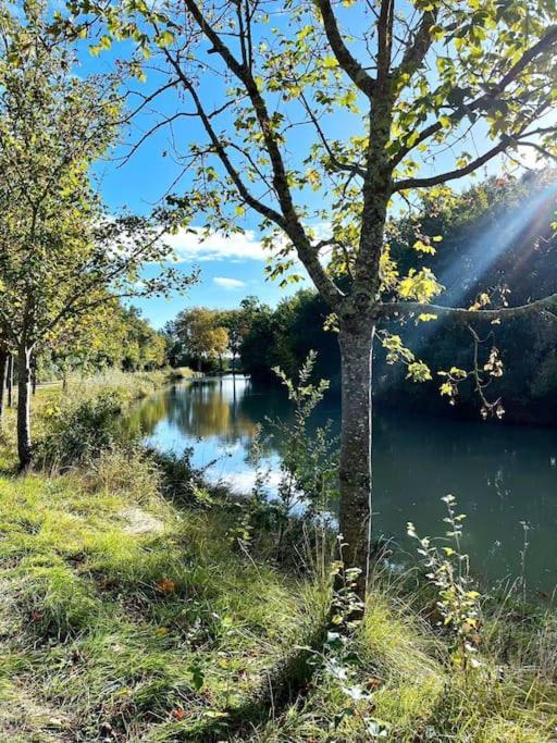 Insolite Peniche Amazonie Canal Du Midi Gardouch المظهر الخارجي الصورة