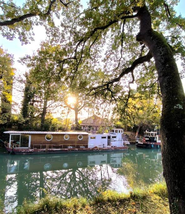 Insolite Peniche Amazonie Canal Du Midi Gardouch المظهر الخارجي الصورة